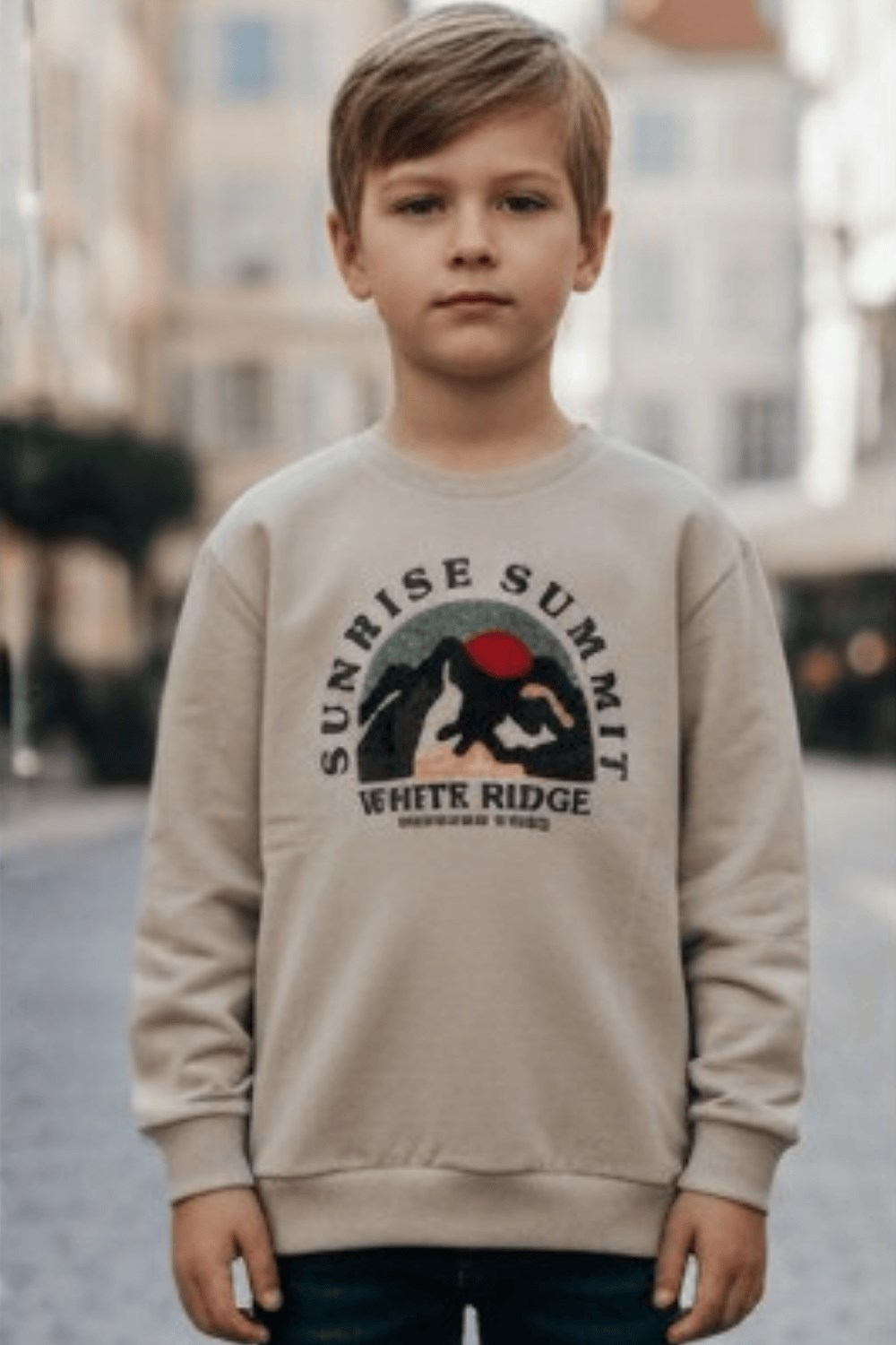 Çocuk Nakışlı ve Baskılı Uzun Kollu Sweatshirt 6  Yaş